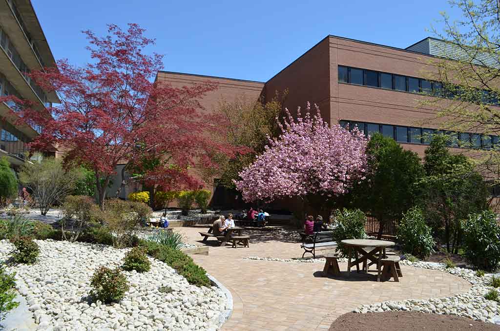 Landscaping Architecture