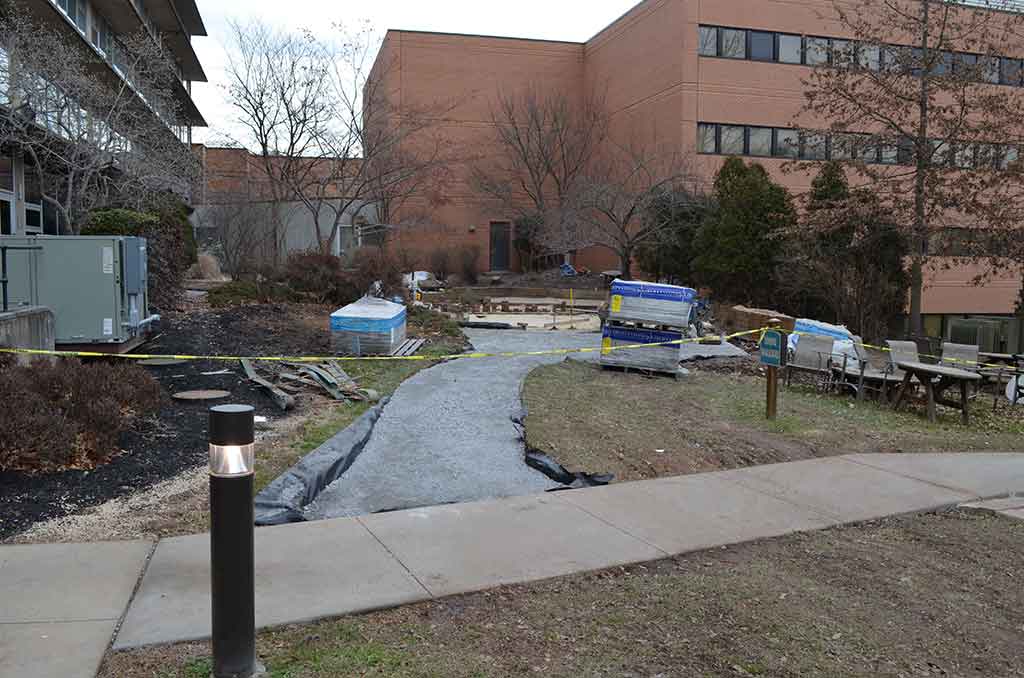 Landscaping Architecture