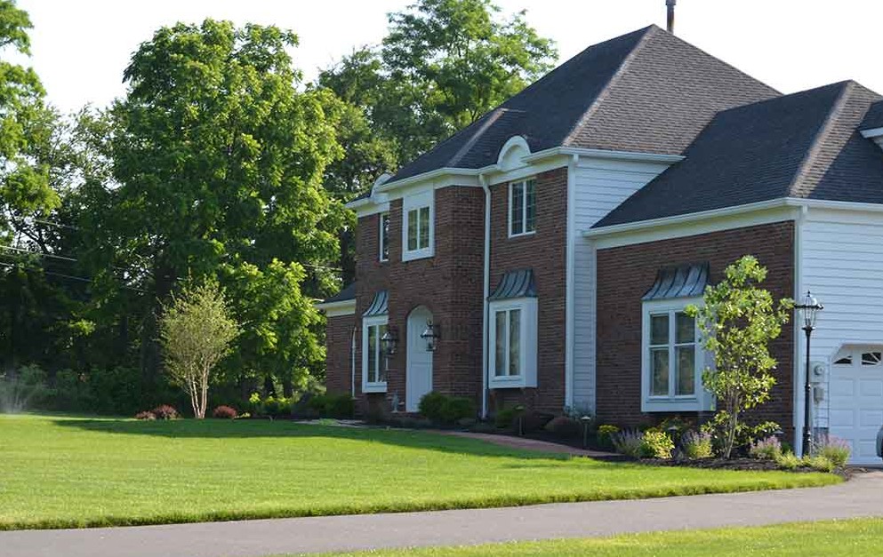 Landscape Revitalization